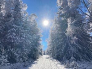 Rozvrh cvičení taichi v Řepích - zimní prázdniny