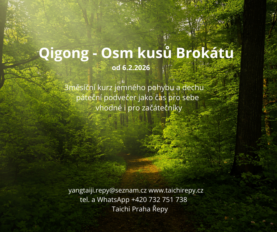 Qigong kurz 6.2. - 24.4.2026
